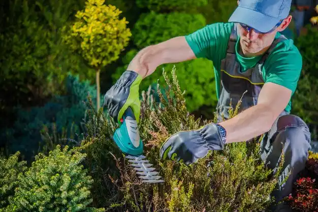 landscaping services Boardman